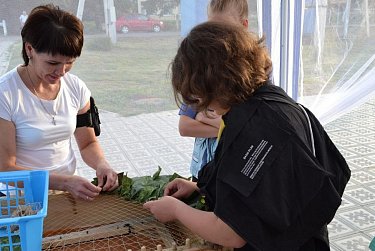 Заслуги и достижения молодых – повод для гордости